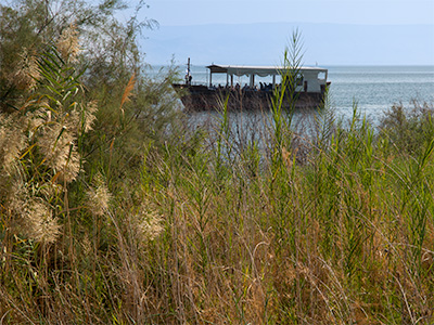 Capernaum National Park