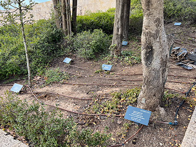 Jerusalem - Yad Vashem